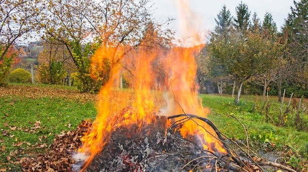 Nová pravidla – zákaz pálení bioodpadu 