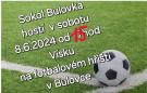 Sokol Bulovka hostí Vísku 1